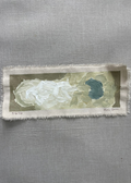 Oyster Study 5