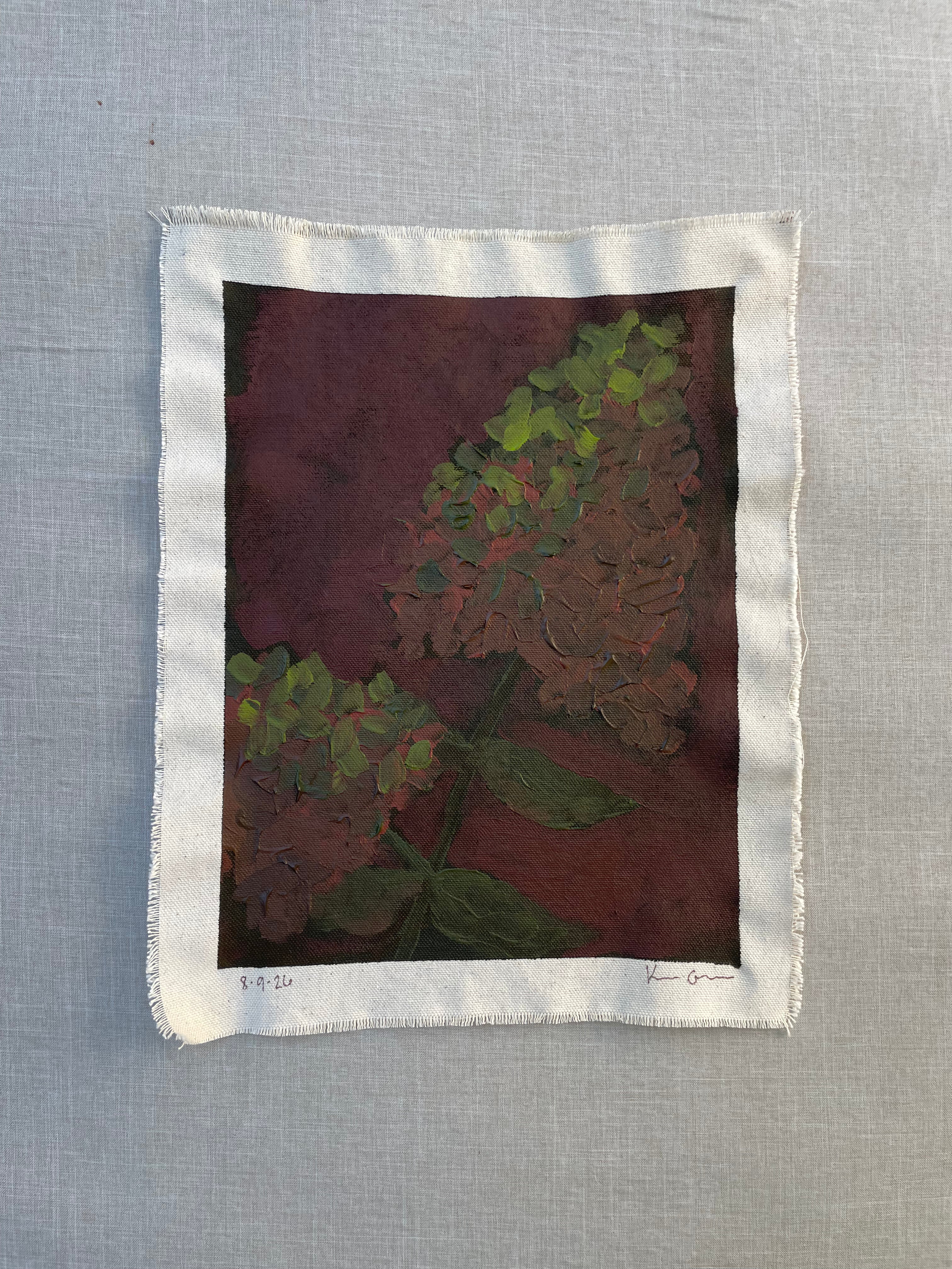 Hydrangea Study #4