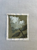 Hydrangea Study #3