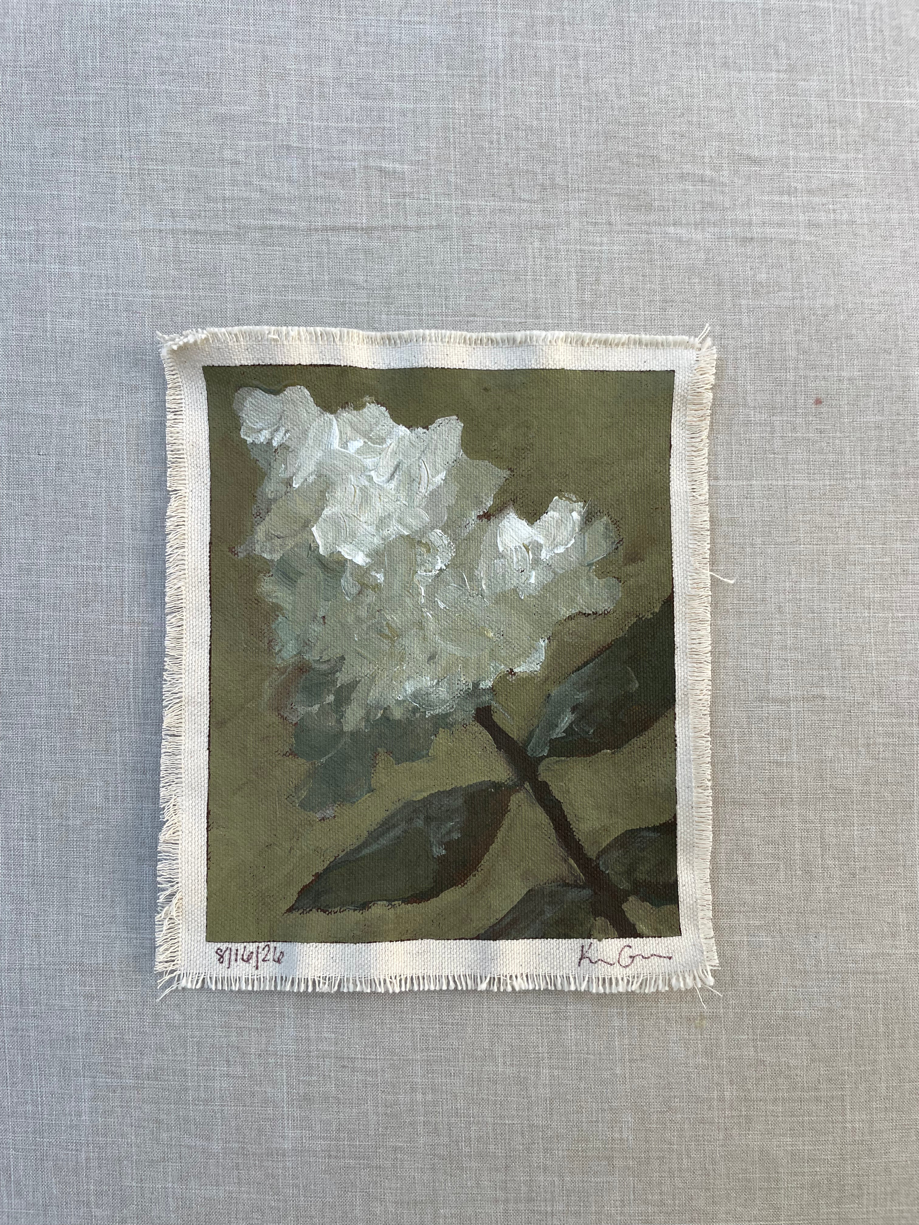 Hydrangea Study #3