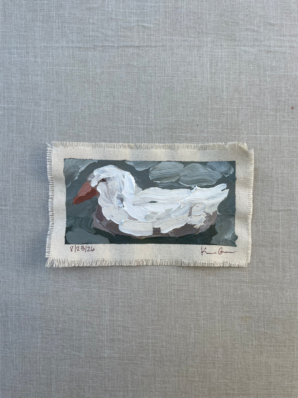 White Duck Study