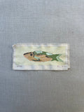 Fish Study