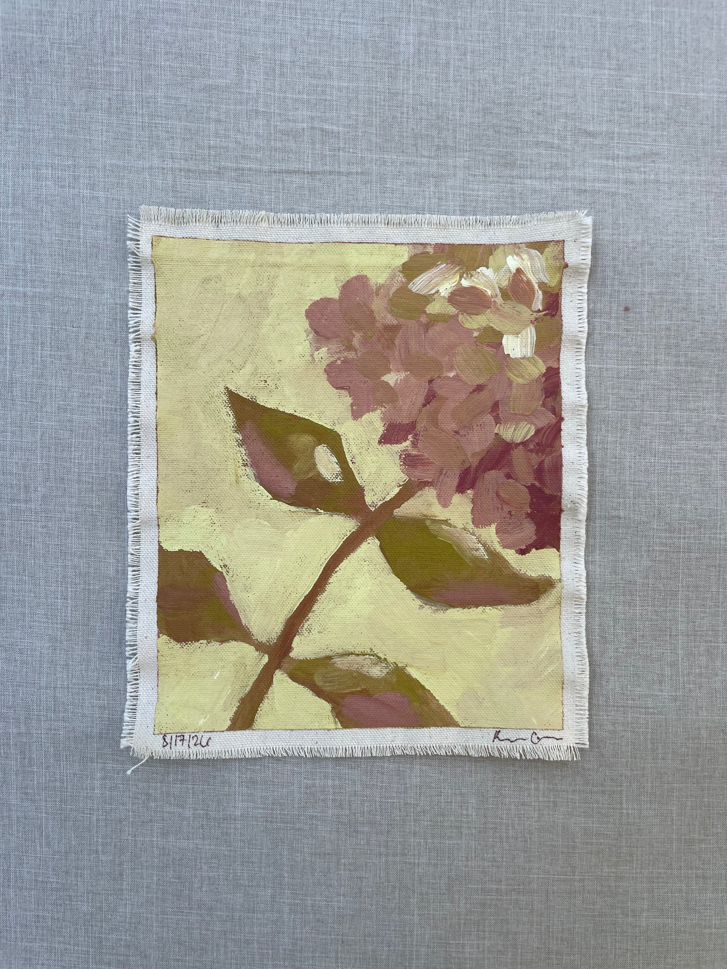 Hydrangea Study #6