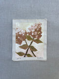 Hydrangea Study #1