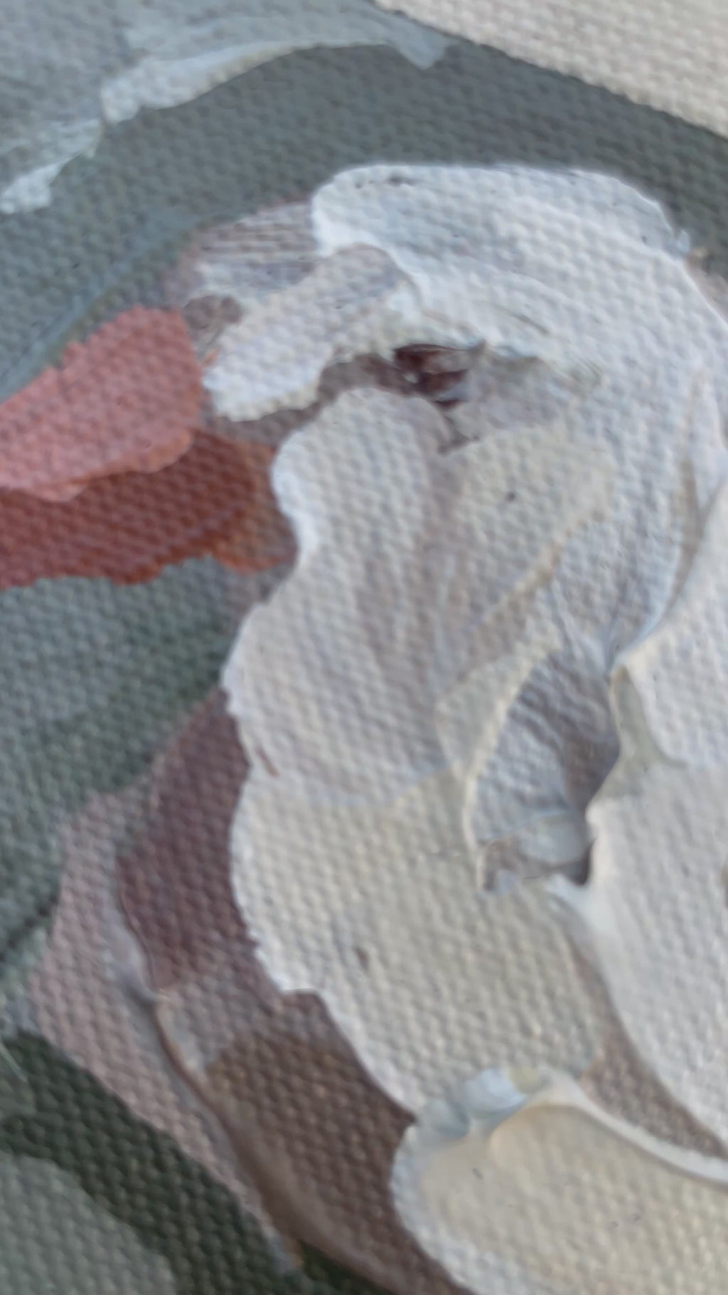 White Duck Study