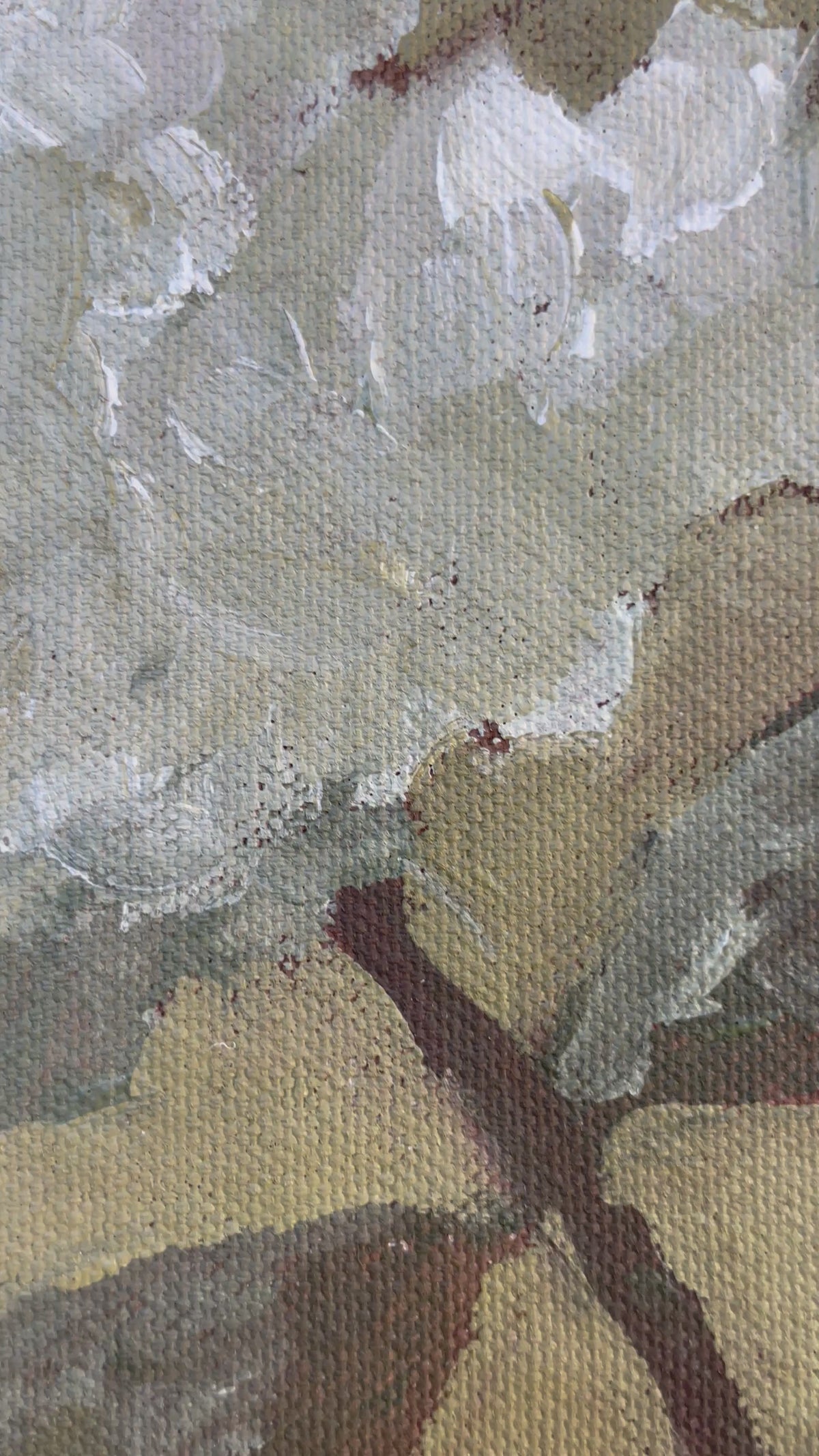 Hydrangea Study #3