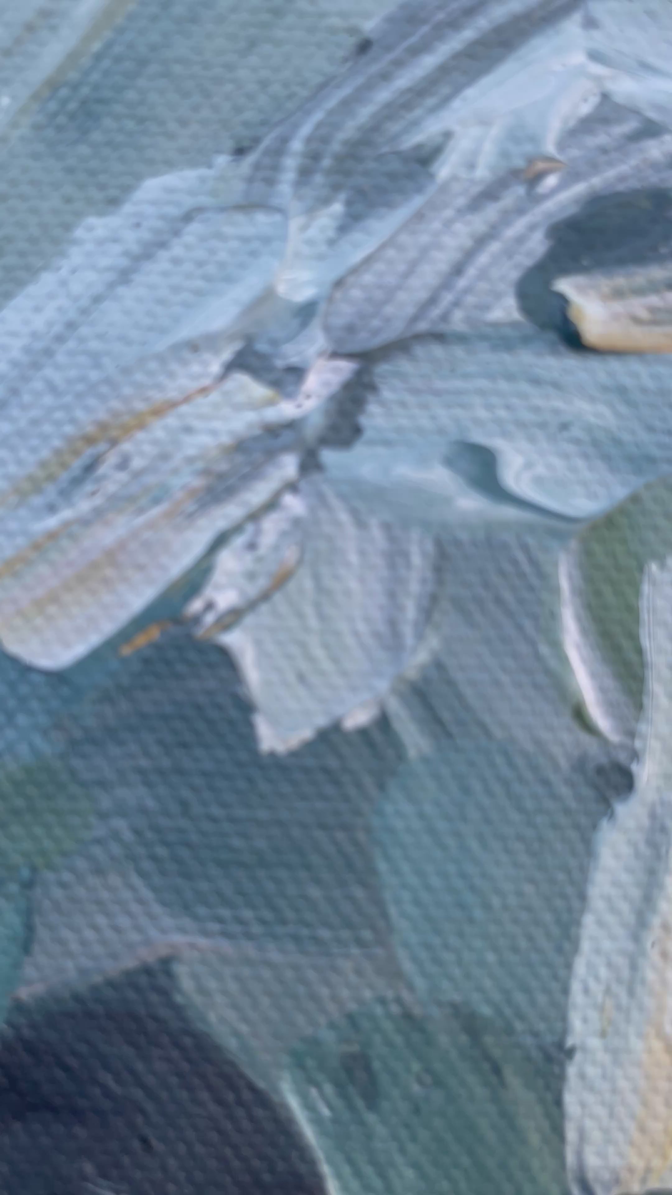 Oyster Study #2